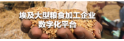 埃及大型糧食加工企業數字化平臺
